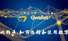 VV钱包与比特币：如何选择和使用数字货币钱包